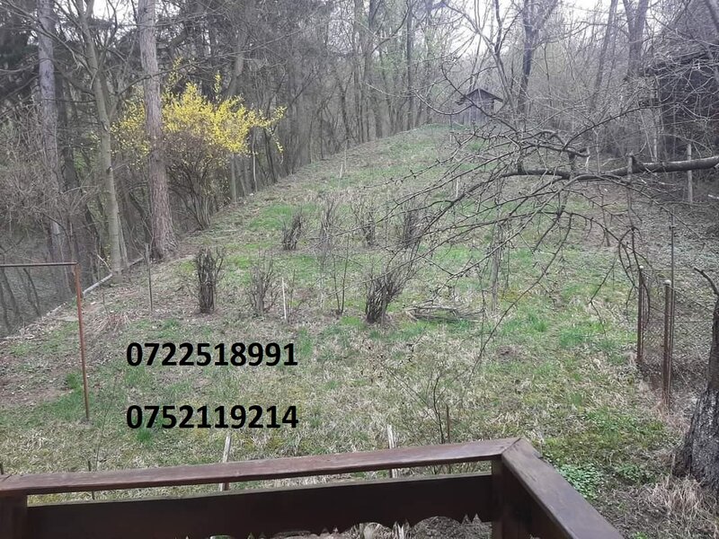 Campulung Muscel, Arges, inchiriere vila superba, la munte,